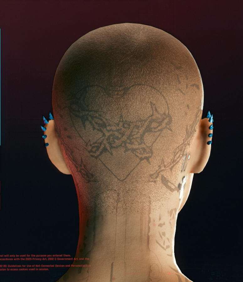 bald back bald back